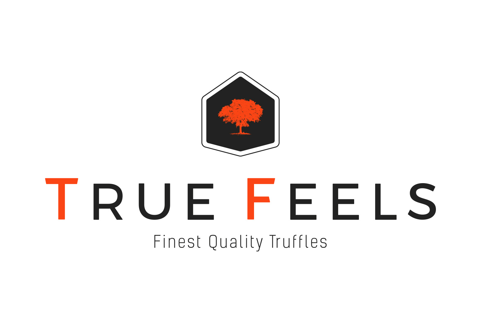 True Feels – Logo